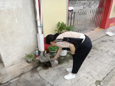 翻盆倒罐清积水 筑牢蚊媒“防护墙”