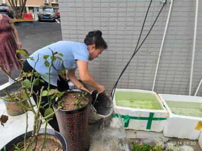 清积水除蚊患 爱国卫生护家园