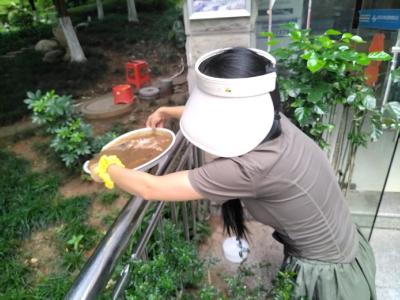 整治环境灭蚊虫  普及知识护民安