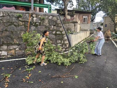 雨后大清扫 安全保畅通