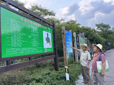 人机联动护青山 共创治理新格局