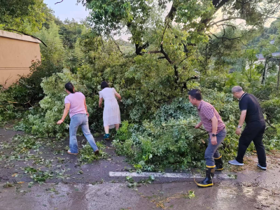 社区积极清理路面树枝 保障道路畅通