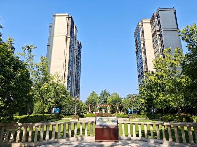 幸福小区“养成记”