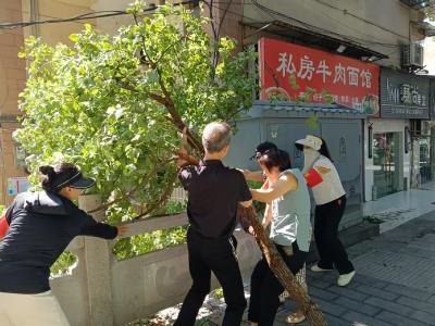 暴雨突袭隐患现 干群合力清障保平安
