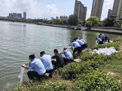落实恢复性司法理念 促进生态保护实质化