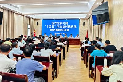 夷陵区农业农村局召开“十五五”规划专题研讨 夯实农业农村现代化发展根基