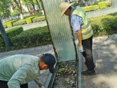 开展爱国卫生运动 筑牢基孔肯雅热防控防线