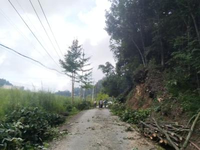 樟村坪镇桃坪河村：清理路边树枝 保民生靓环境
