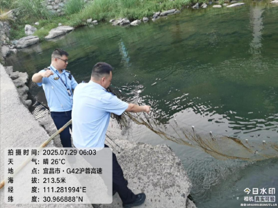 联合执法严整治 守护流域生态安