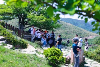 百里荒景区：旅游旺季交出“红色党建”新答卷