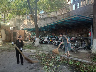 暴雨过后共守护 清洁家园焕新颜