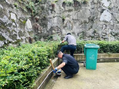 开展爱国卫生大扫除，筑牢基孔肯雅热防控线