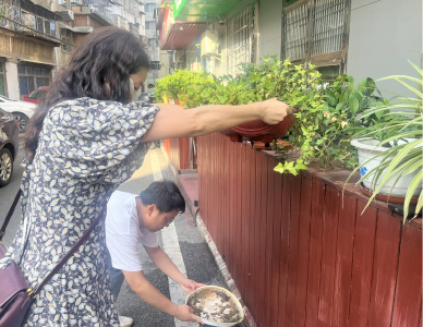 翻坛倒灌清污水 防蚊灭虫保健康