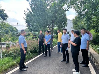 学习拓思路 交流促提升