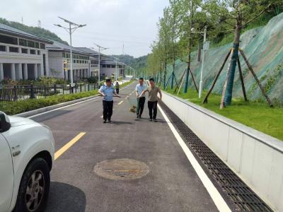 构建“三位一体”治理体系，弘扬文明养犬新风尚