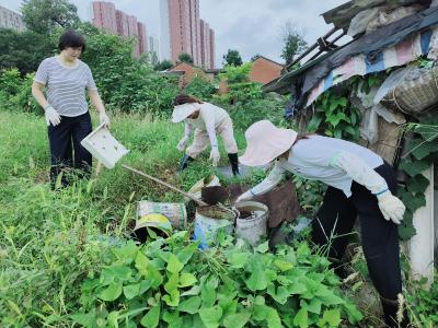 冯家湾社区：筑牢基孔肯雅热防控防线