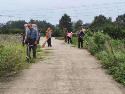 鸦鹊岭镇长寿村：道路旧貌换新颜 人居环境整治见成效