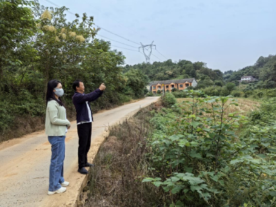 鸦鹊岭镇“空天地”联动 打响松林健康“秋季保卫战”