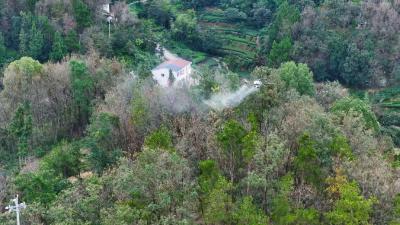 “无人机”科技防灾  “森林卫士”迅速出击——夷陵区成功防控6000亩林区虫害