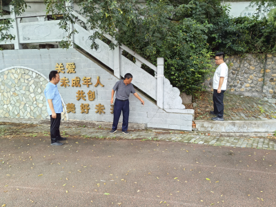 鸦鹊岭镇：皂荚古树焕发新生 保险理赔科学修复