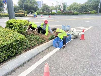 “氛围组”上线！一路繁花扮靓夷陵城！