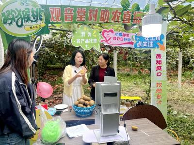 联村共建聚合力 消费帮扶促振兴