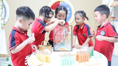 “柠”聚时光   快乐启航