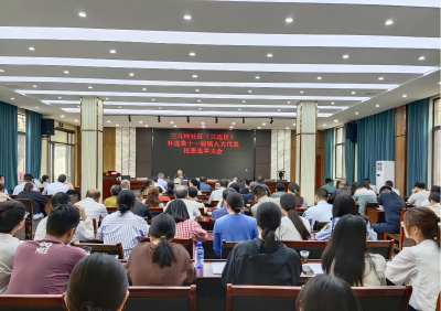 三斗坪社区圆满完成镇人大代表补选工作