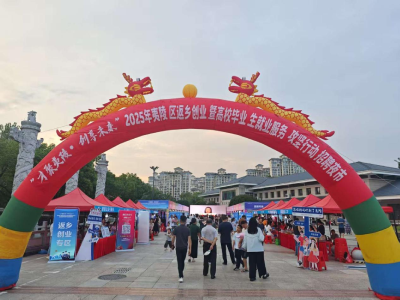 求职逛摊两不误 烟火气里觅贤才