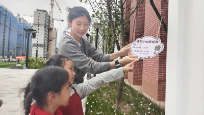 心系一棵树 我与小树共成长
