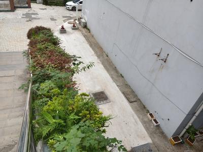 党建引领办实事 废弃空地“变身”便民停车场