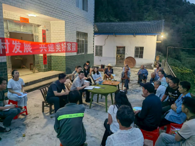 “5号见”架起连心桥，“屋场会”共绘振兴图