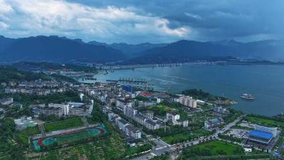 定期跟踪回访，服务企业增实效