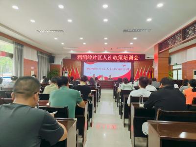 深化政策服务 赋能企业发展