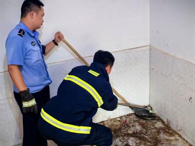 家中惊现菜花蛇 民警及时处置保安全