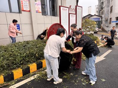 修剪绿植清环境，整洁面貌迎国庆