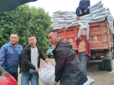 鸦鹊岭镇：油菜种子免费发 助力秋播促振兴