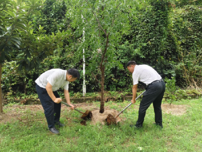 锦江社区：爱心果树添新绿，邻里情深美家园