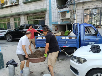 聚焦人居环境 共建美丽家园