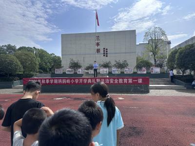 鸦鹊岭小学开展校园安全专题讲座
