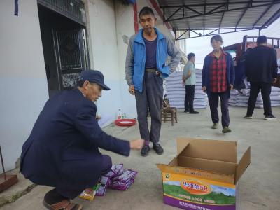鸦鹊岭镇：免费良种进千户 冬季农田生万金