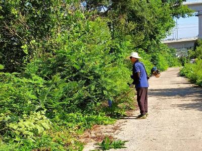 村湾管家齐动手 道路焕新助振兴