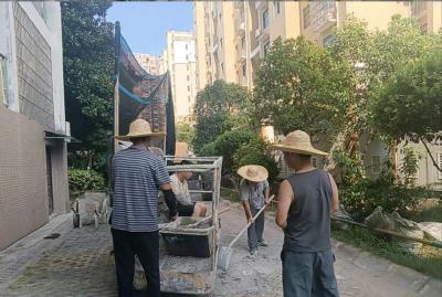 党建领航长河湾，幸福小区谱新篇