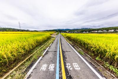 分乡镇南垭村道路刷黑增颜值