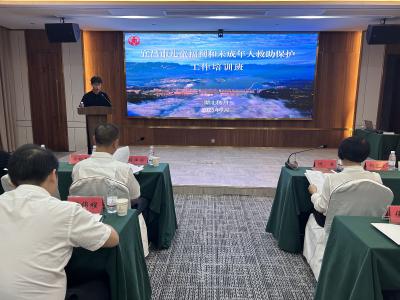 夷陵区构建三级关爱网络 扎实推进儿童福利保护工作