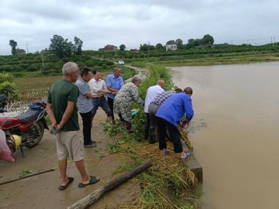 鸦鹊岭镇：洪涝无情 自救先行