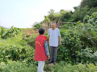 巡查焚烧除隐患 齐心守护望江蓝