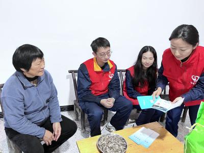 夷陵供电：青春聚力助振兴  电力赋能兴乡村