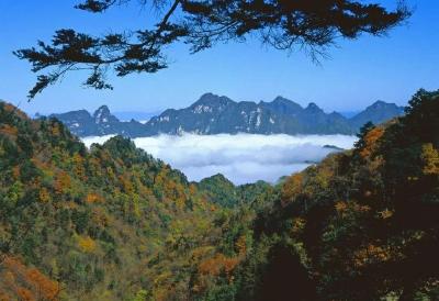 宜昌三峡大老岭自然保护区管理局加入林业和草原生物多样性保护创新联盟