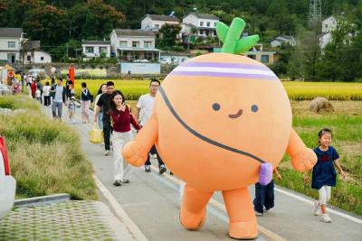 风吹稻浪 夷陵米香 “四联”绘就分乡丰收新图景